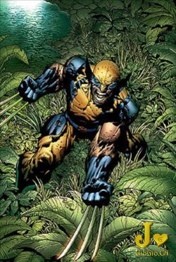 Marvelwolverine.jpg